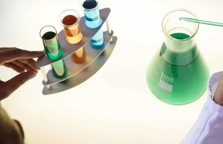 Ciencias Biosanitarias y Tecnolog&iacute;a